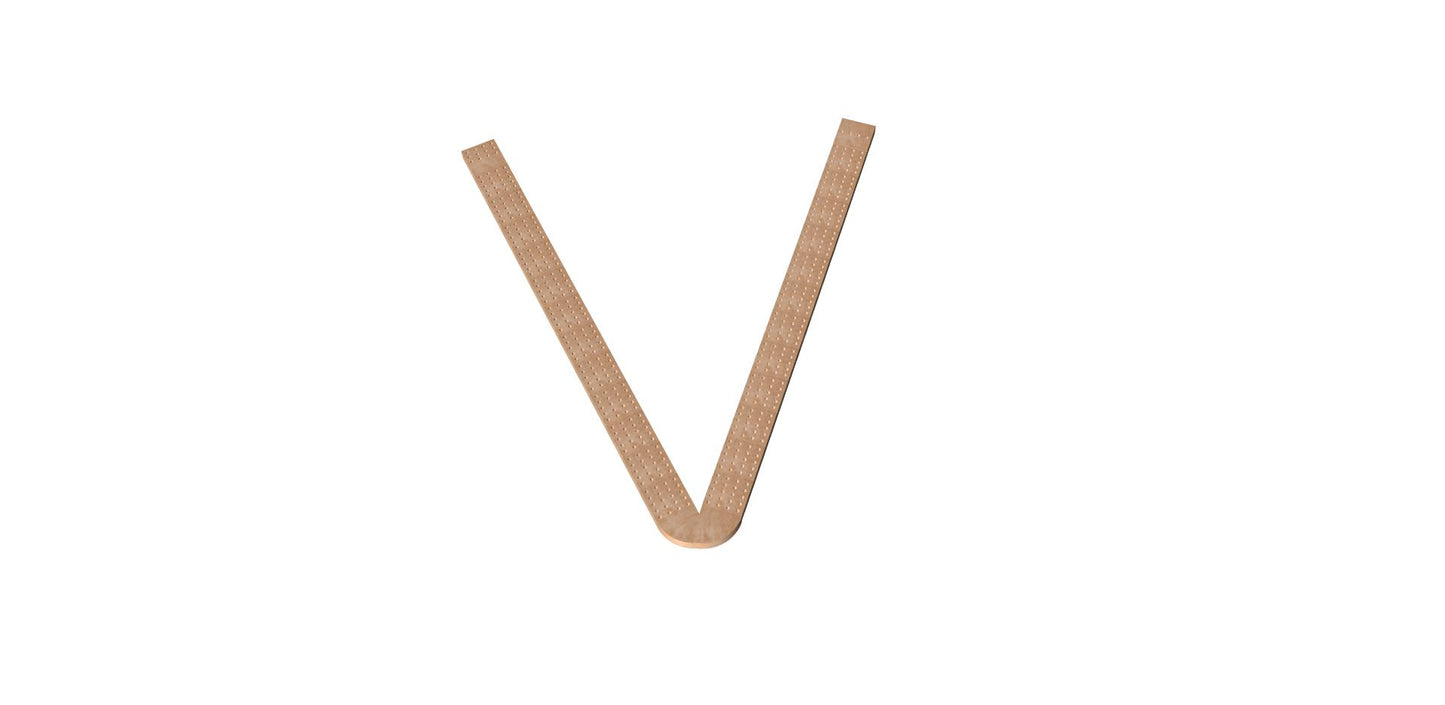 Letter V